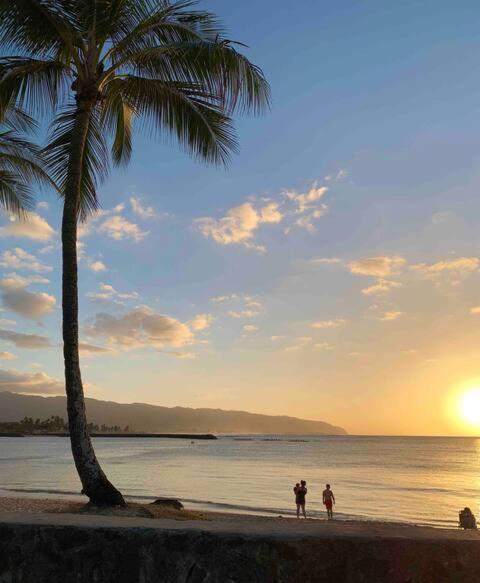 North Shore Garden Suite ハレイワ エクステリア 写真